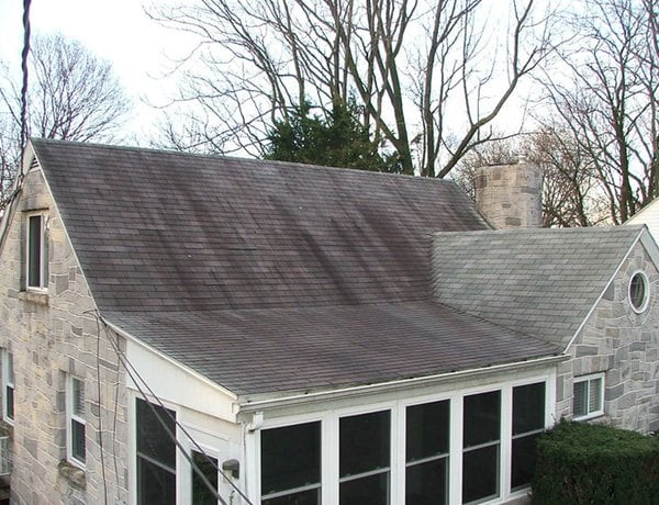 When Is It Time to Clean My Roof?