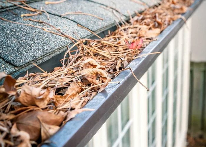 Gutter Cleaning Services